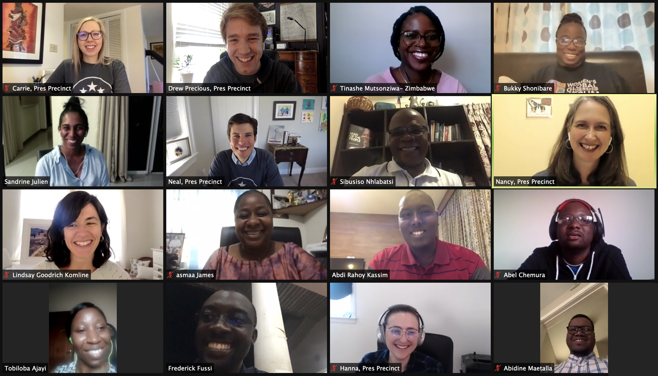 YALI Reunions Week: our most inspiring Zoom calls yet